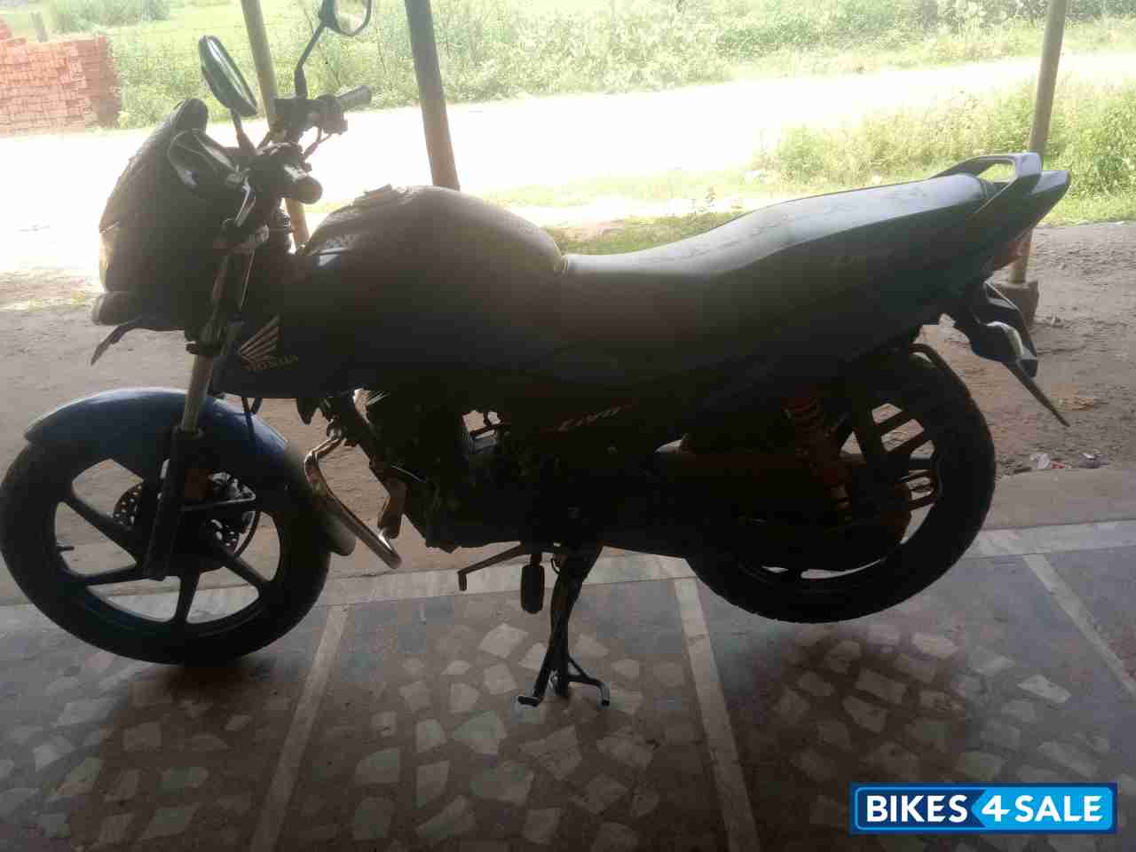 Blue Honda Livo 110
