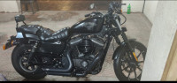 Harley Davidson Iron 883