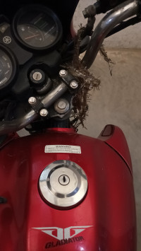 🔴 Yamaha Gladiator