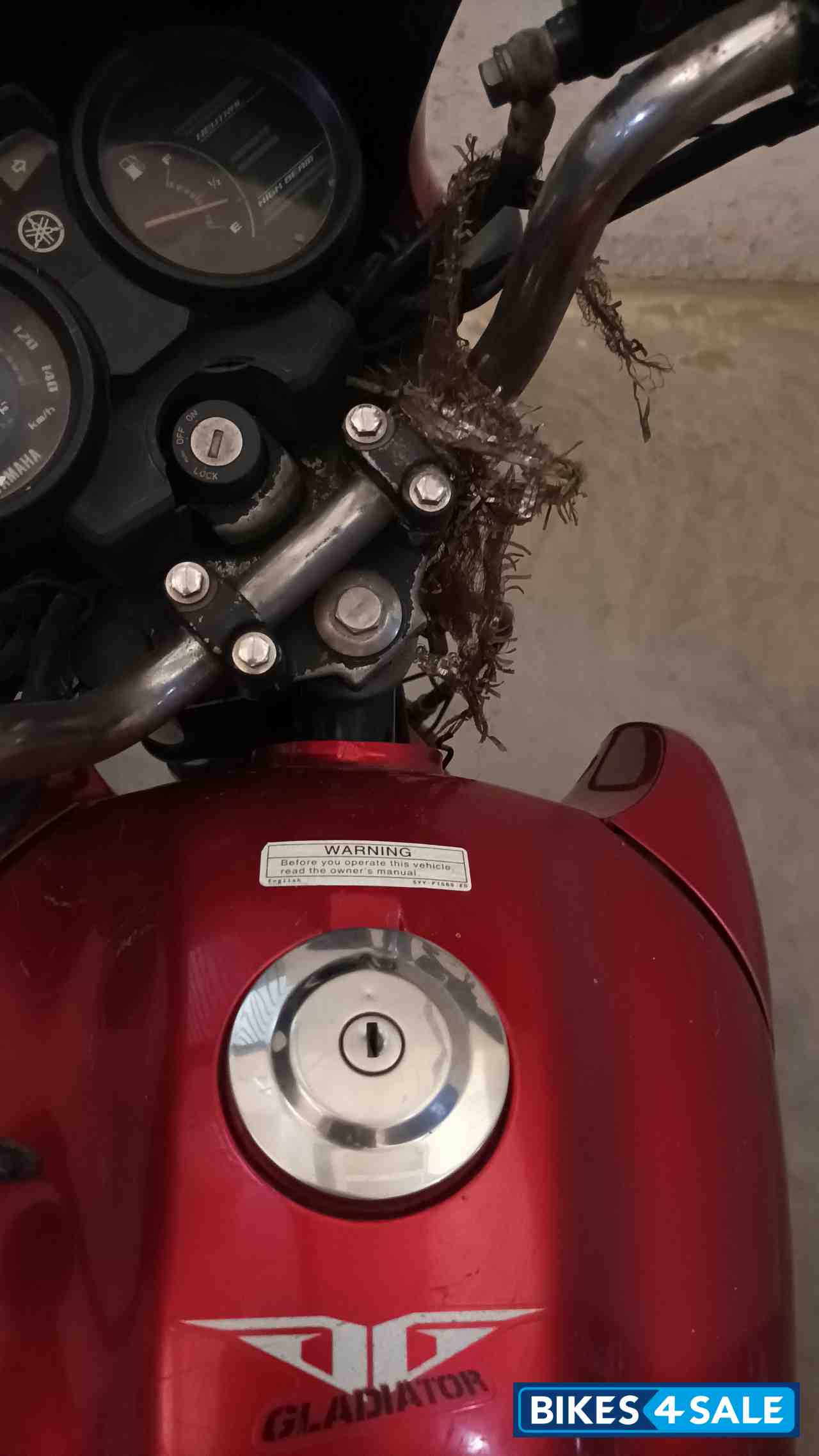 🔴 Yamaha Gladiator