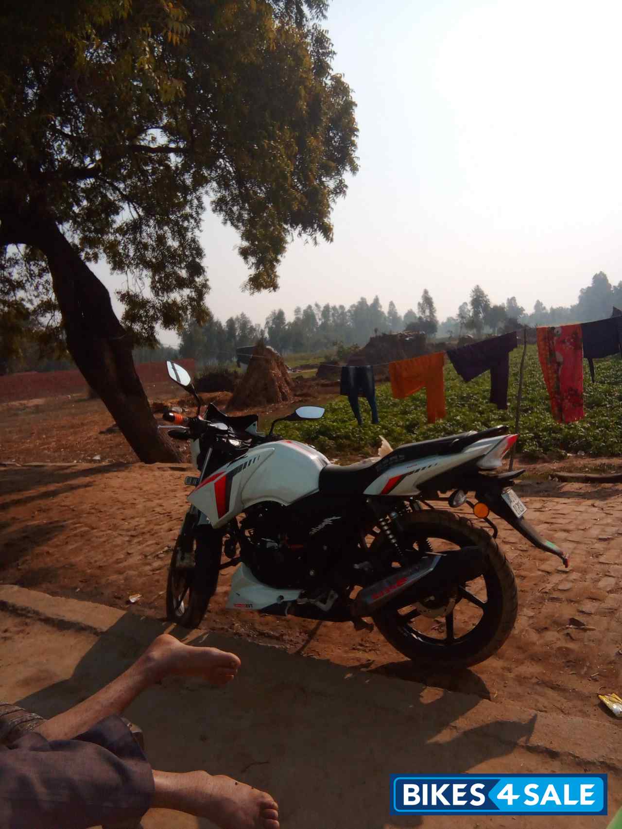 White TVS Apache RTR 160 BS VI