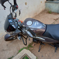 Grey Honda Shine BS6