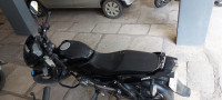 Black Bajaj Pulsar 150 DTSi