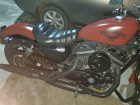 Brown Harley Davidson Iron 883