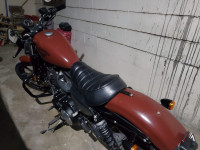 Brown Harley Davidson Iron 883