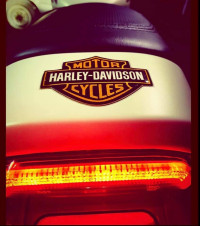 Harley Davidson Street Rod 2018 Model