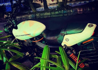 Harley Davidson Street Rod