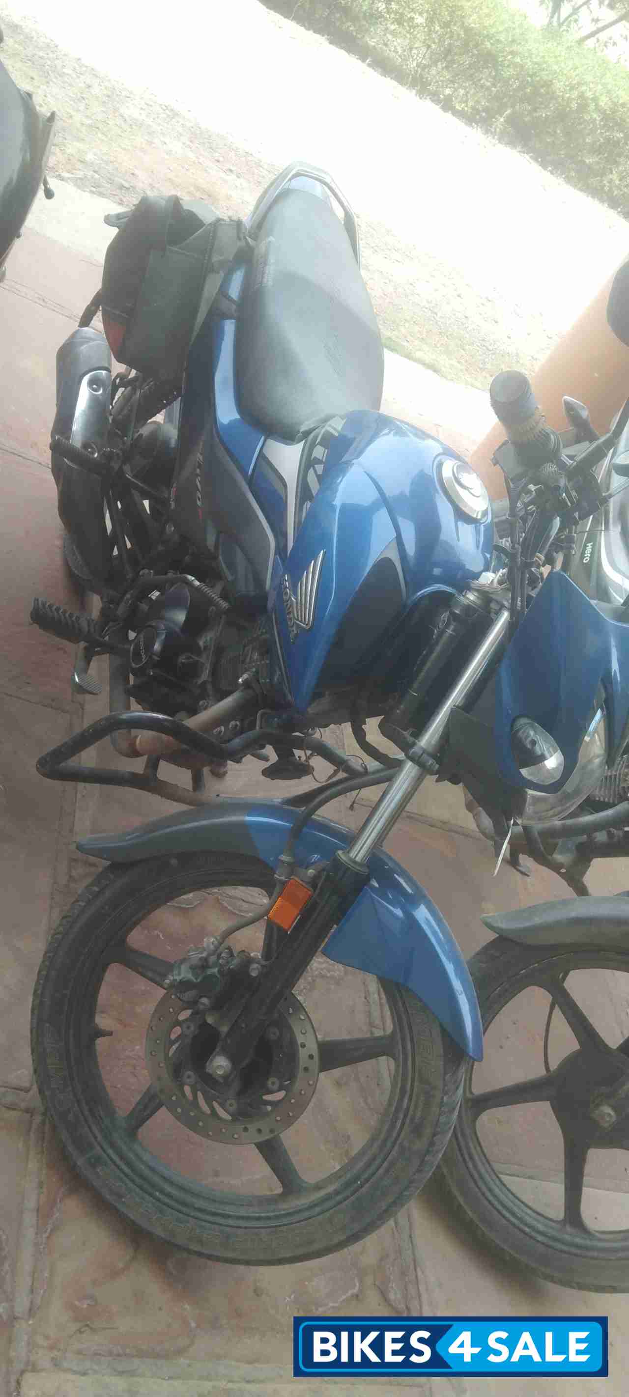 Blue Honda Livo 110