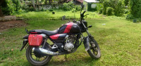 Black & Red Bajaj V15