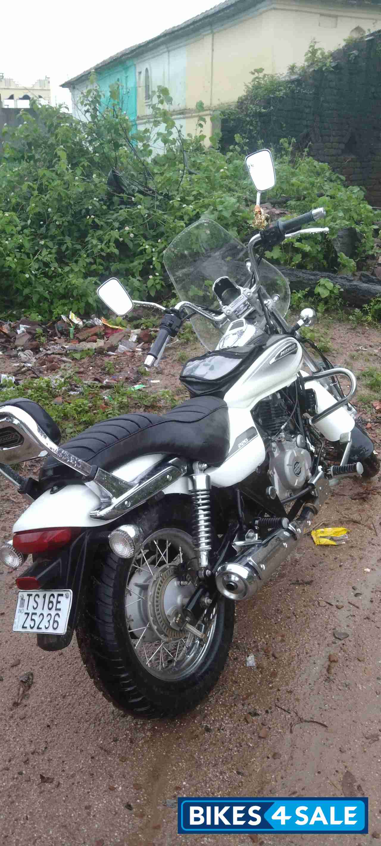 Moon White Bajaj Avenger Cruise 220 BS6