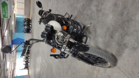 White Royal Enfield Thunderbird X 350