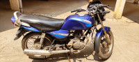 Blue Bajaj Caliber 115
