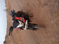 Orange Black Bajaj Pulsar NS125 BS6