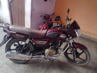TVS Radeon 2019 Model