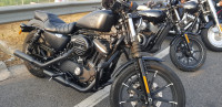Harley Davidson Iron 883 2016 Model