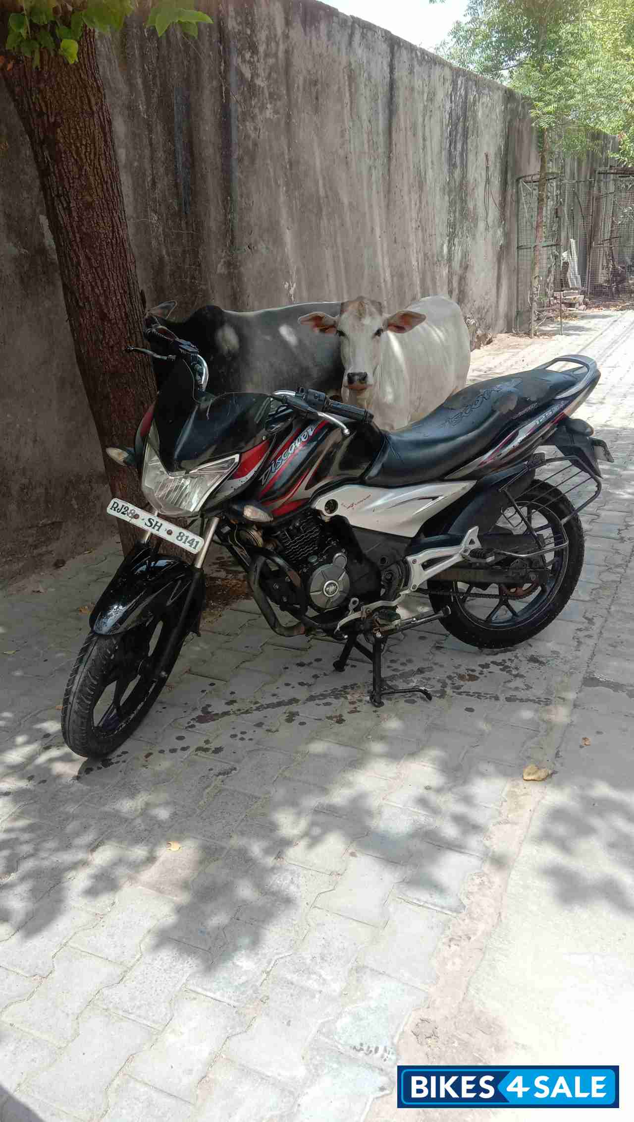 Bajaj Discover 125 ST