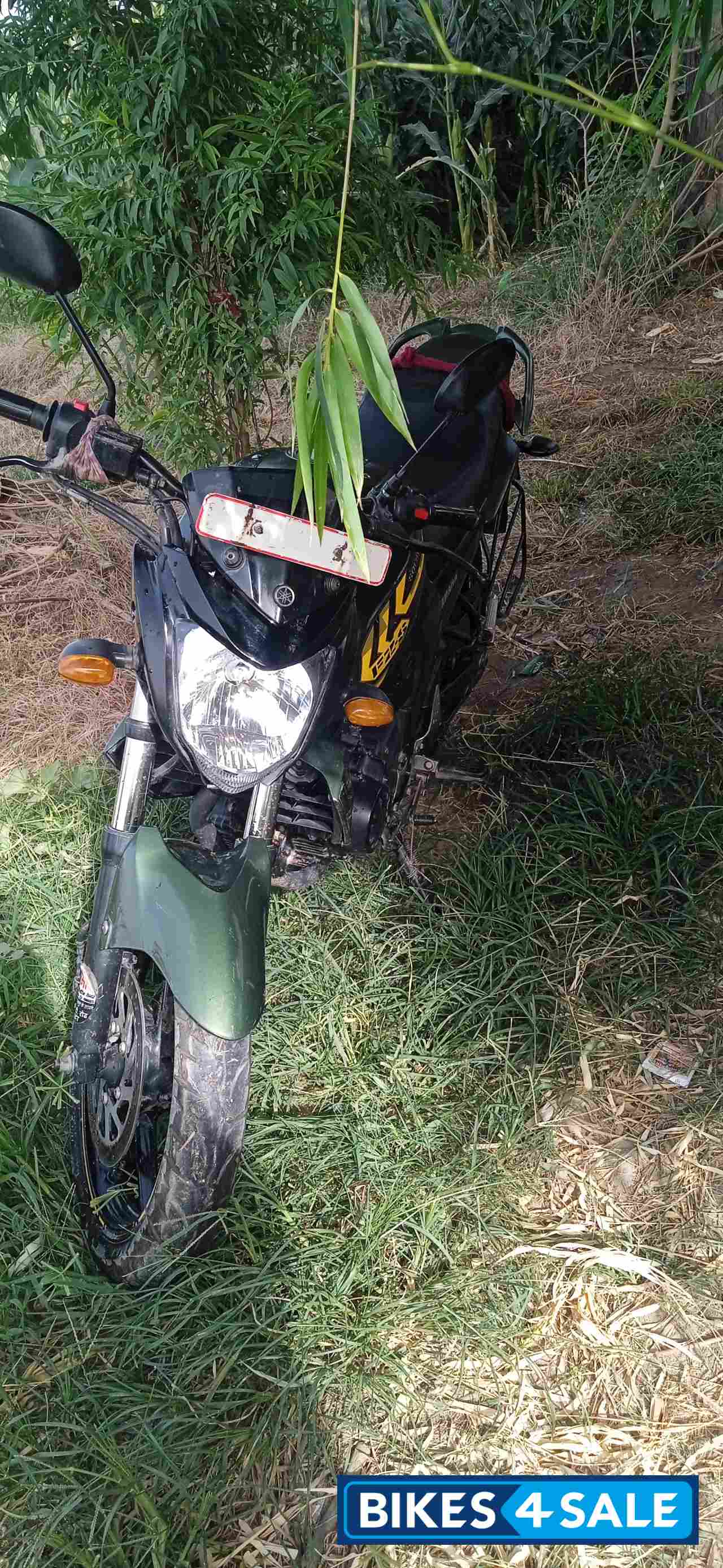 Military Green Yamaha FZ-S Military Green Yamaha FZ-S