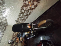 Desert Gold Bajaj Avenger Cruise 220