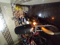 Desert Gold Bajaj Avenger Cruise 220