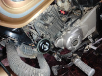 Desert Gold Bajaj Avenger Cruise 220