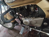 Desert Gold Bajaj Avenger Cruise 220
