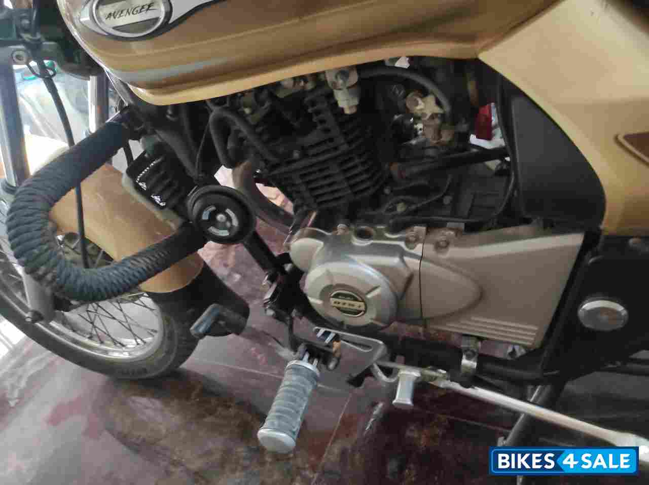 Desert Gold Bajaj Avenger Cruise 220 Desert Gold Bajaj Avenger Cruise 220
