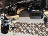 Desert Gold Bajaj Avenger Cruise 220