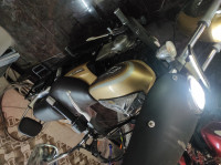 Desert Gold Bajaj Avenger Cruise 220
