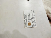 Desert Gold Bajaj Avenger Cruise 220