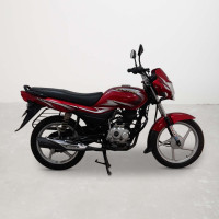 Bajaj Platina 100
