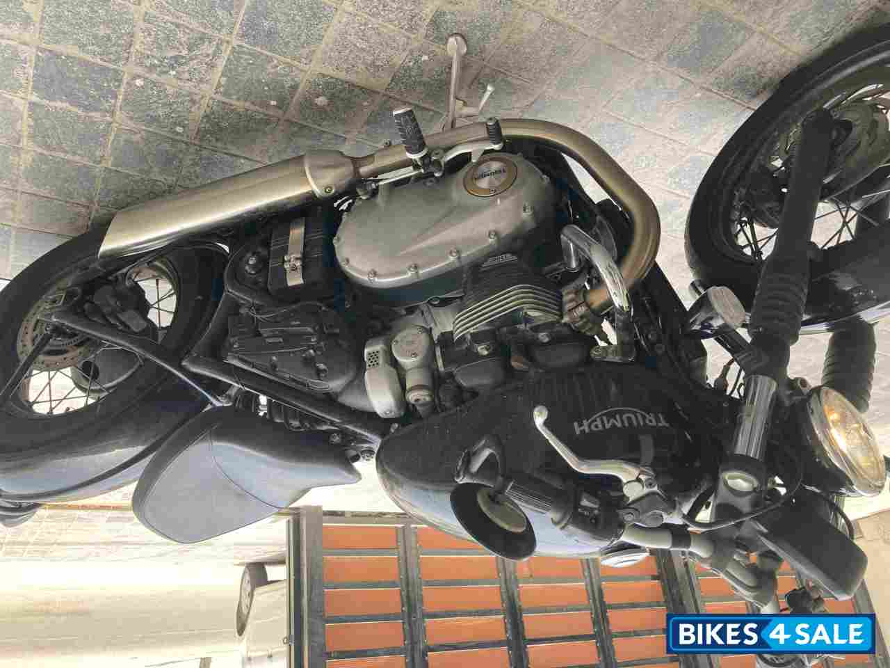 Black Triumph Bobber