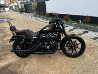 Harley Davidson Iron 883 2019 Model