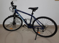 Bicycle Cosmic Regal 2021 Model