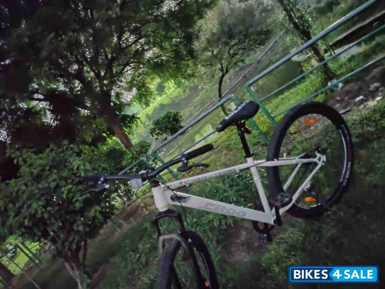 Bicycle  Frog Defeatr