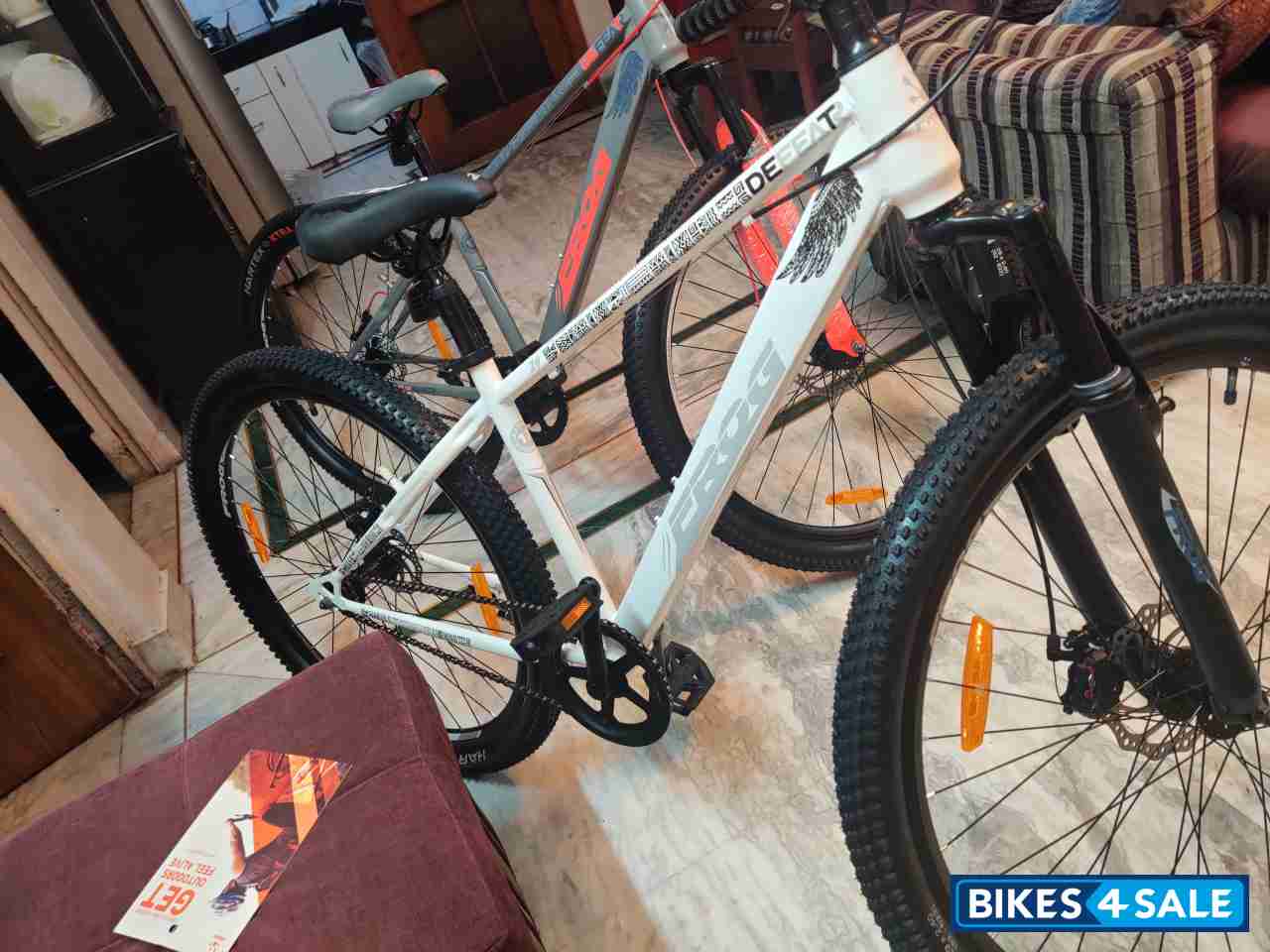 Bicycle  Frog Defeatr