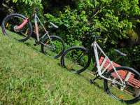 Bicycle  Frog Defeatr