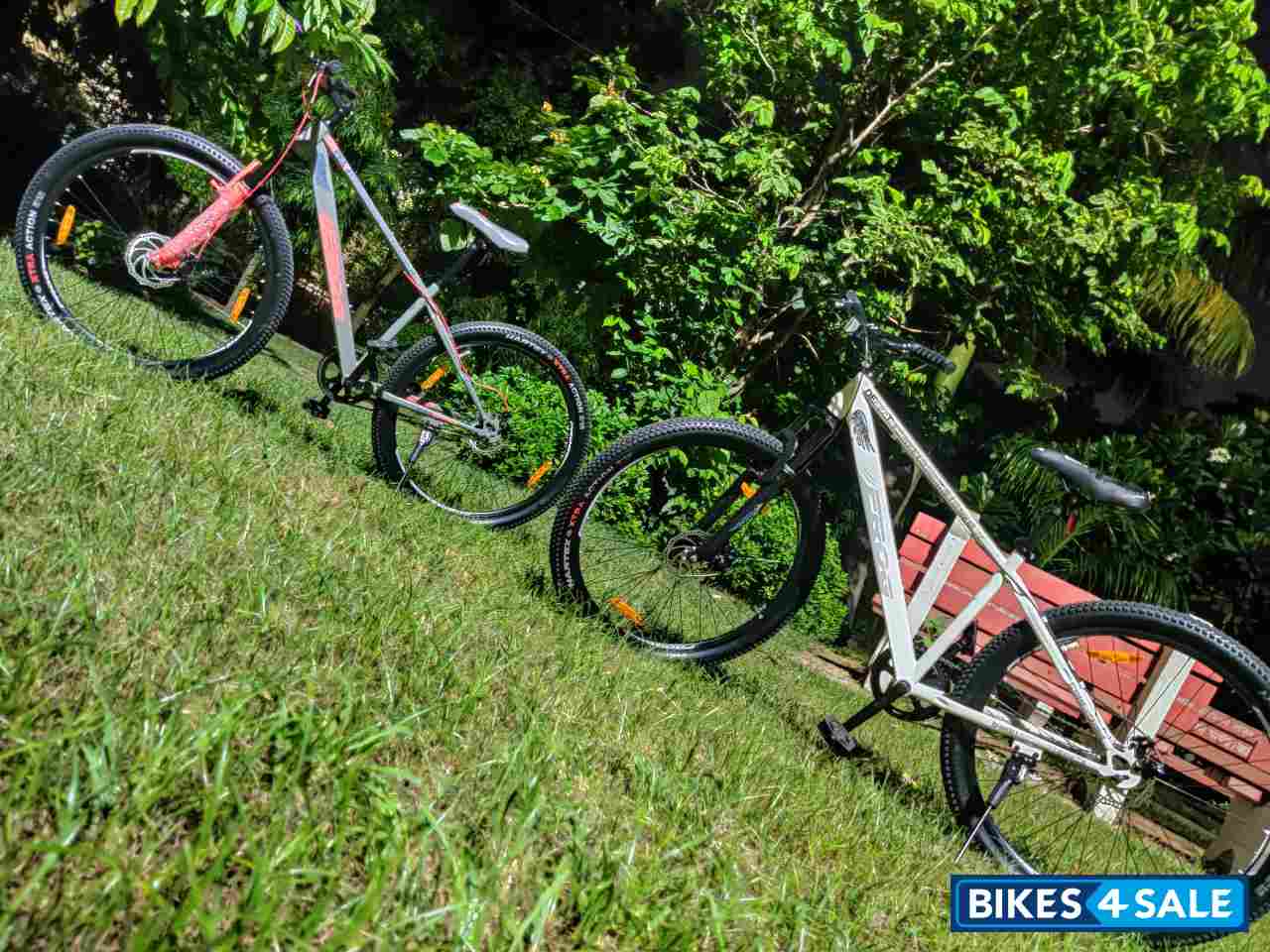 Bicycle  Frog Defeatr