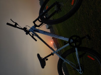 Bicycle  Frog Defeatr