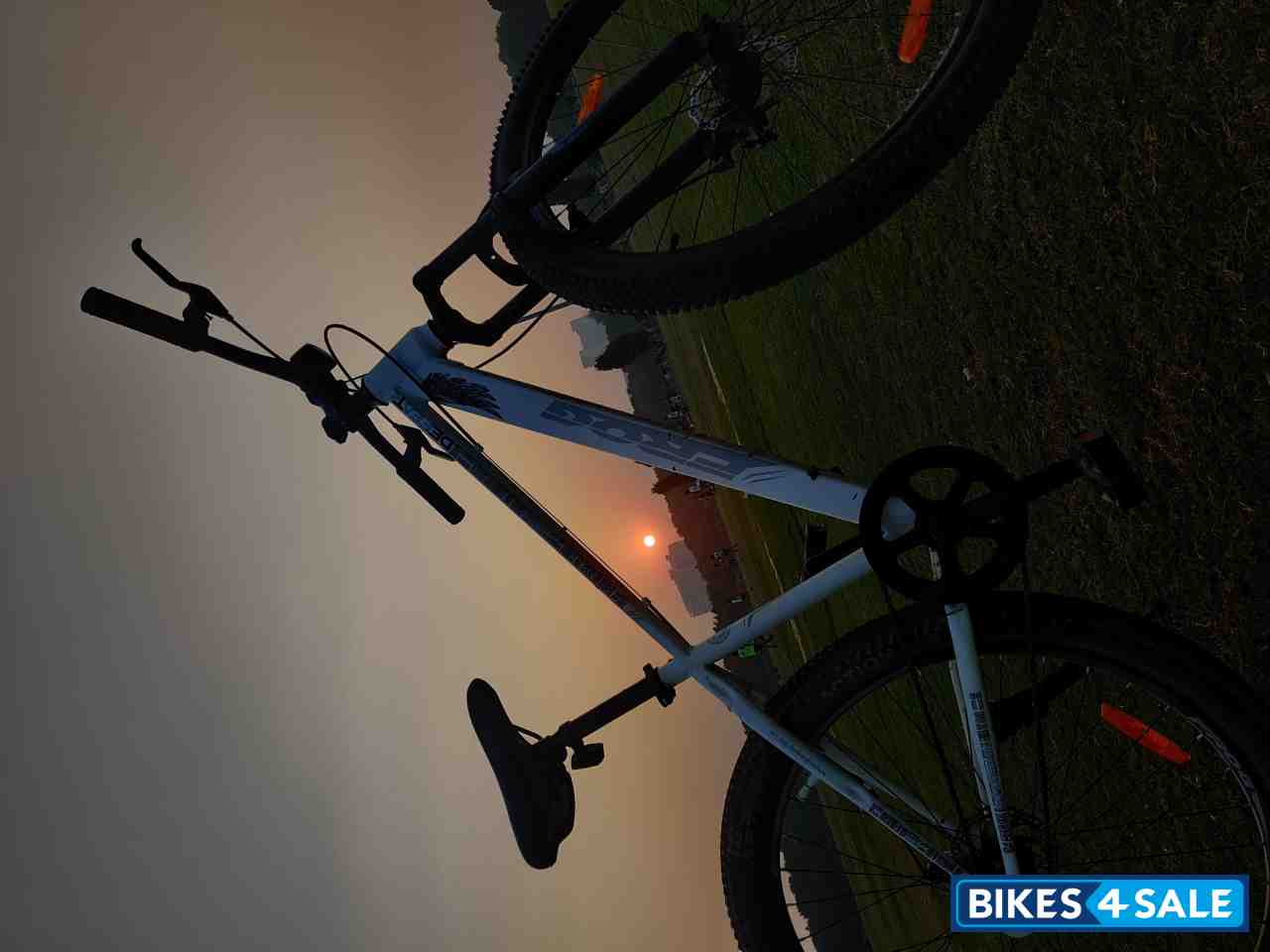 Bicycle  Frog Defeatr