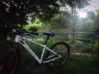 Bicycle  Frog Defeatr