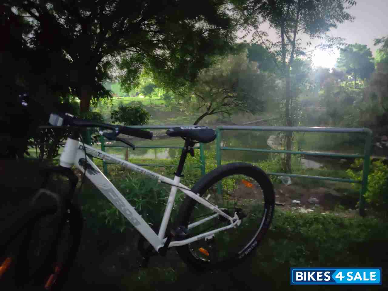 Bicycle  Frog Defeatr