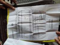 Royal Enfield Thunderbird 350