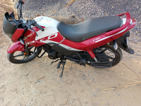 Hero Passion Pro BS6