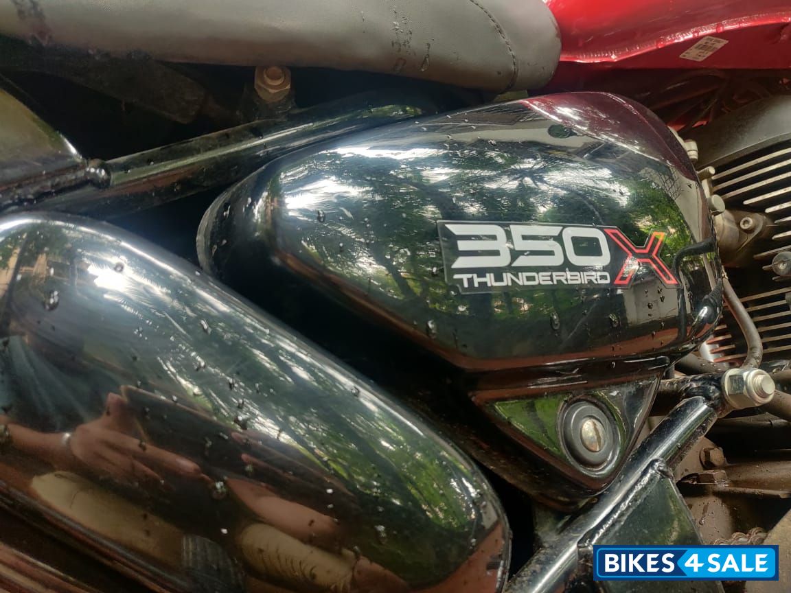 Roving Red Royal Enfield Thunderbird X 350