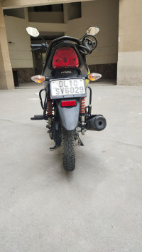 Black Honda Livo 110