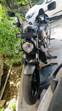 Metallic Flat Raw Gr Kawasaki Vulcan S 650 BS6 2021