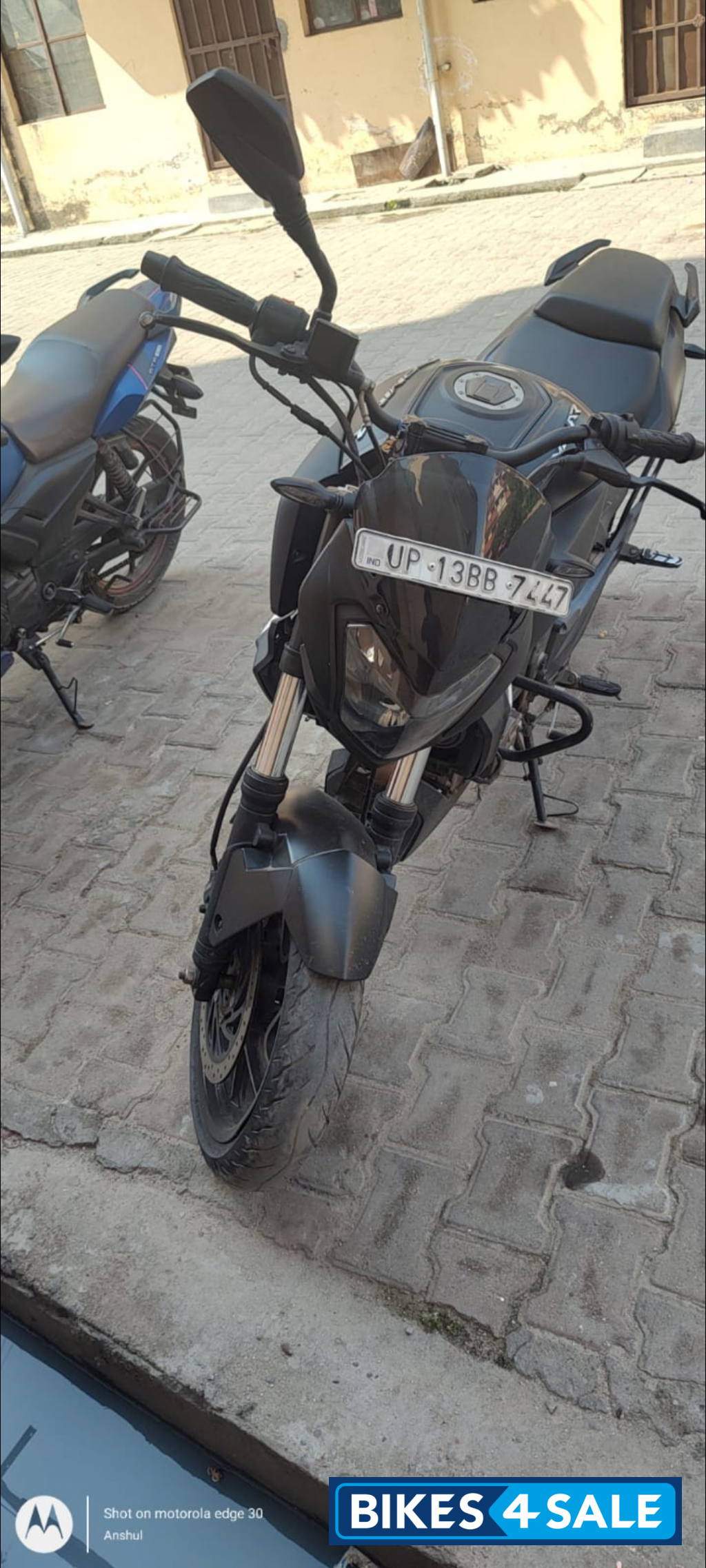 Twilight Plum Bajaj Dominar 400