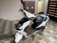 Benling Falcon Lithium Ion 2021 Model