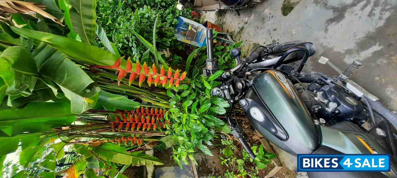 Bajaj Avenger Street 220