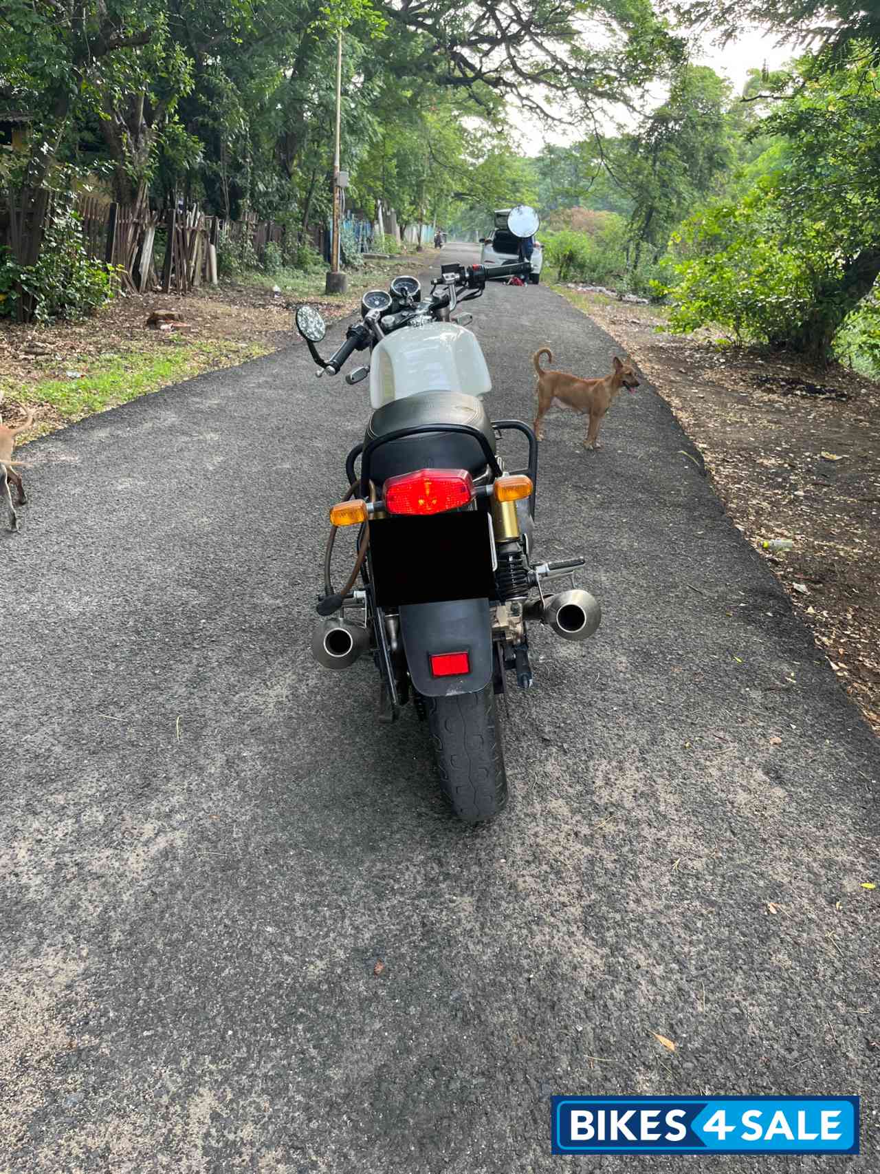 Royal Enfield Continental GT 650 Twin